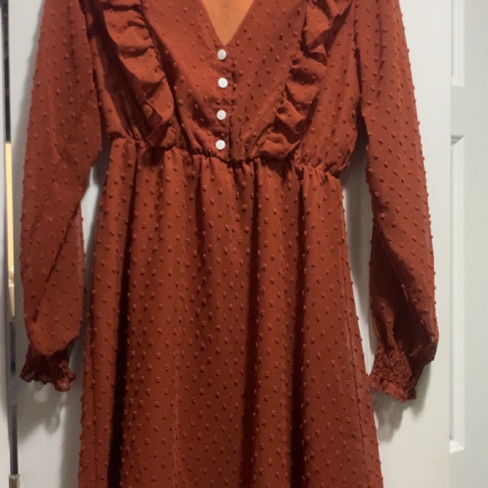 Rust Swiss Dot Ruffle Button-Front Dress